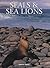 Seals & Sea Lions: A Portra...