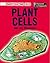 Plant Cells and Life Processes