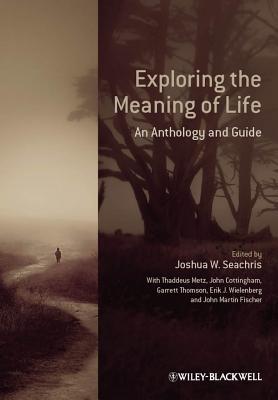 Exploring the Meaning of Life: An Anthology and Guide (Hardcover)