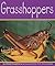 Grasshoppers (Insects)
