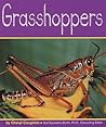 Grasshoppers (Insects)