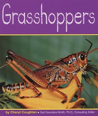 Grasshoppers (Insects)