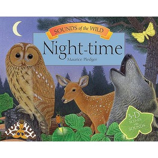 Sounds of the Wild: Night Time (Hardcover)