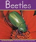 Beetles