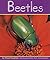 Beetles (Insects)