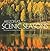 Arizona's Scenic Seasons: The Unique Landscapes of Spring, Summer, Autumn, and Winter