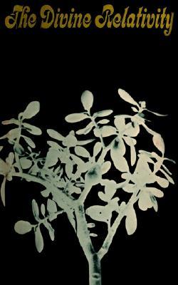 The Divine Relativity: A Social Conception of God (The Terry Lectures Series)