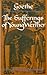 The Sufferings of Young Wer...