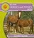 See How Horses and Ponies Grow