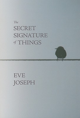 The Secret Signature of Things (Paperback)