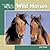 Wild Horses