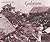Galveston and the 1900 Storm by Patricia Bellis Bixel