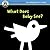 Begin Smart: What Does Baby See? For Ages 0-6 Months