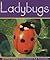Ladybugs (Insects)