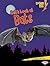 Let's Look at Bats by Ruth Berman