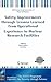 Safety Improvements through Lessons Learned from Operational Experience in Nuclear Research Facilities (Nato Security through Science Series B:)