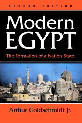 Modern Egypt: The Formation of a Nation State (Paperback)