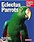 Eclectus Parrots by Katy Mcelroy Eclectus Parrots by Katy Mcelroy
