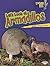 Let's Look at Armadillos (L...