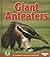 Giant Anteaters (Early Bird Nature Books)
