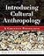 Introducing Cultural Anthro...