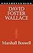 Understanding David Foster Wallace by Marshall Boswell