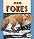 Red Foxes (Pull Ahead Books ― Animals)