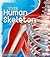 The Human Skeleton (Anatomy Class)
