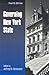 Governing New York State by Jeffrey M. Stonecash