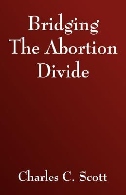 Bridging The Abortion Divide (Paperback)