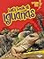 Let's Look at Iguanas (Ligh...