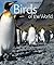 Birds of the World