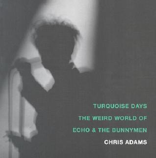Turquoise Days: The Weird World of Echo and the Bunnymen (Paperback)