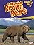 Let's Look at Brown Bears (...