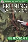 Pruning and Training Pruning and Training
