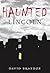 Haunted Lincoln by David Brandon