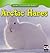 Arctic Hares (Animals That Live in the Tundra)