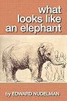 What Looks Like An Elephant by Edward Nudelman