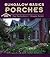 Bungalow Basics: Porches