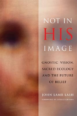 Not in His Image: Gnostic Vision, Sacred Ecology, and the Future of Belief (Paperback)