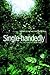 Single-handedly: My First Years as a Single Mom