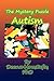 The Mystery Puzzle--Autism