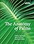 The Anatomy of Palms: Arecaceae - Palmae