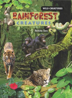 Rainforest Creatures (Wild Creatures)