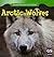 Arctic Wolves (Animals That Live in the Tundra)