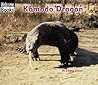 Komodo Dragon (Welcome Books)