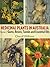 Medicinal Plants In Australia: Volume 2: Gums, Resins, Tannin And Essential Oils