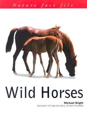 Wild Horses: Nature Fact File Series (Paperback)