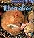 Hibernation (Heinemann First Library)