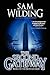 The Second Gateway - Book 2...